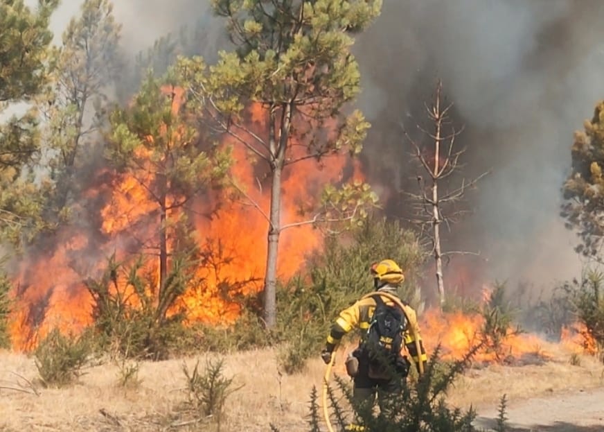 Nuestra querida empresa Tragsa quiere en plena ola de incendios sancionar a #Brif Laza porque se negaron a hacer menos horas de descanso que las que marca la ley...¿es mucho pedir que nuestros equipos descansen 12 horas entre jornadas como dice el Estatuto? #ConBRIFLaza (2/3)