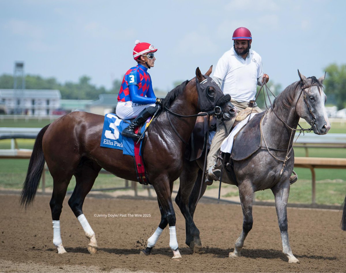 This Is Uscar ❤️ great shots by Jenny Doyle!! <a href="/EliotH77/">EGH</a> <a href="/KatieRichFarms/">KatieRich Farms</a>