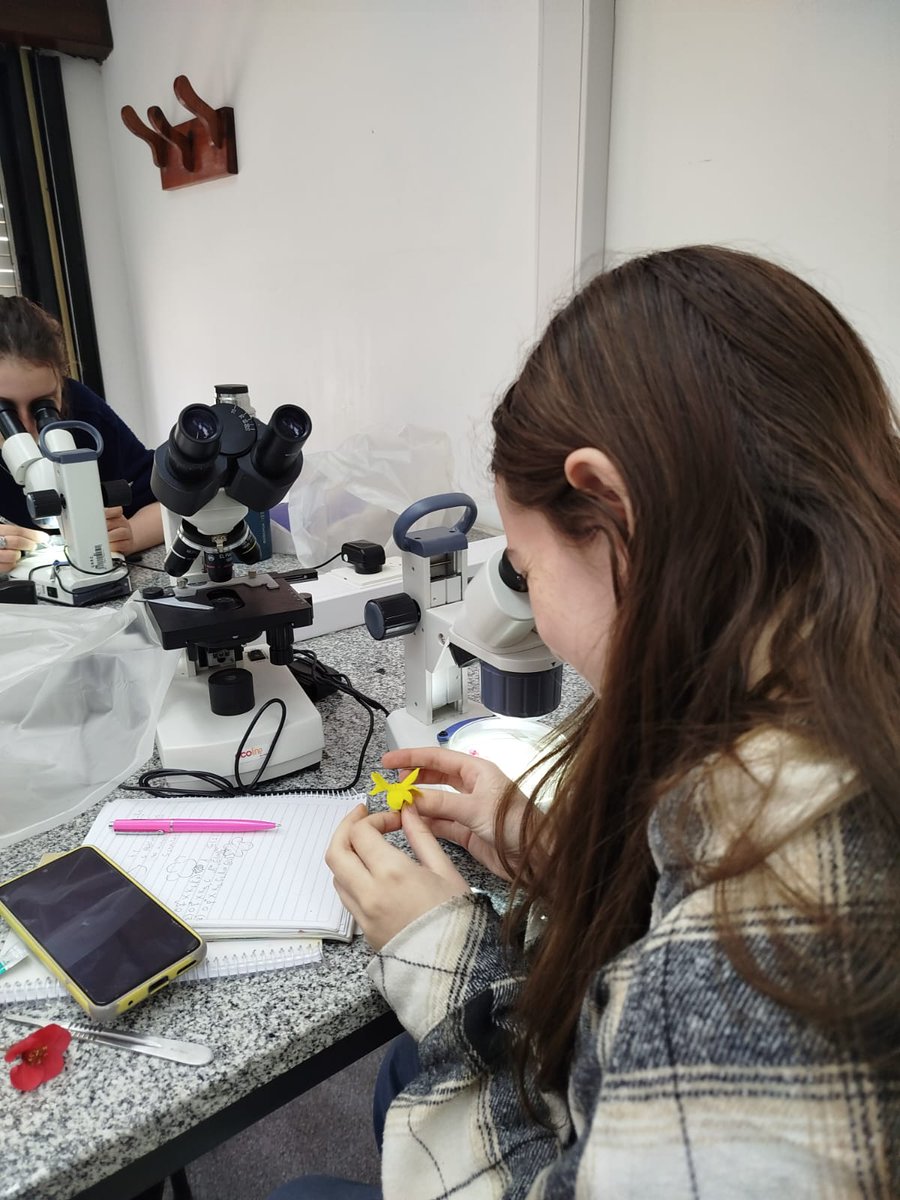 Durante esta semana, cuatro estudiantes de nivel secundario, provenientes de distintas provincias del país, realizan en la UNRC una intensa capacitación teórica y práctica como parte de su preparación para la Olimpíada Iberoamericana de Biología
exa.unrc.edu.ar/estudiantes-se…