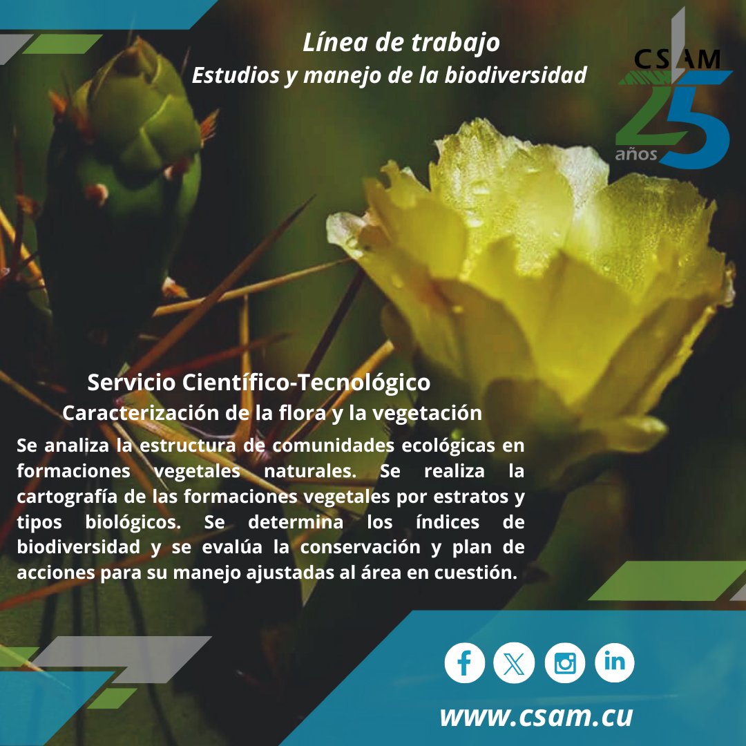 ✅🇨🇺Forma parte de nuestros servicios científico-tecnológicos, LA CARACTERIZACIÓN DE LA FLORA Y LA VEGETACIÓN👇🏻
.
.
. 
#líneasdetrabajo #ServiciosCientíficoTecnológicos #Cumplimos25 #CSAM #AMACuba #CitmaCuba