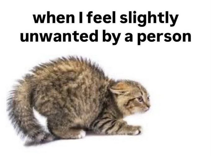 The Notorious J.O.V. (@whotfisjovana) on Twitter photo 