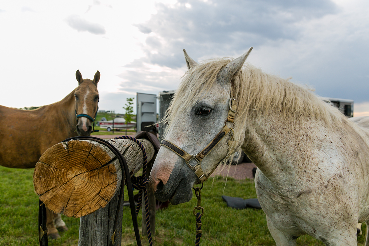 Nebraska Game and Parks (@negameandparks) on Twitter photo Let's celebrate! We're hosting a 10th anniversary event at Danish Alps SRA and Kramper Lake this Saturday, Aug. 16. 🎉
Join us for a day filled with fishing, kayaking, trail rides and more. Find event details here: brnw.ch/21wUTow
📸: <a href="/NEBland_Jen/">Jenny Wheatley</a> Let's celebrate! We're hosting a 10th anniversary event at Danish Alps SRA and Kramper Lake this Saturday, Aug. 16. 🎉
Join us for a day filled with fishing, kayaking, trail rides and more. Find event details here: brnw.ch/21wUTow
📸: <a href="/NEBland_Jen/">Jenny Wheatley</a>