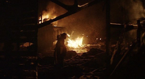 Stephen Gibbons tweet media