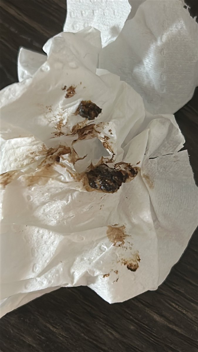 Mateo Daza tweet media