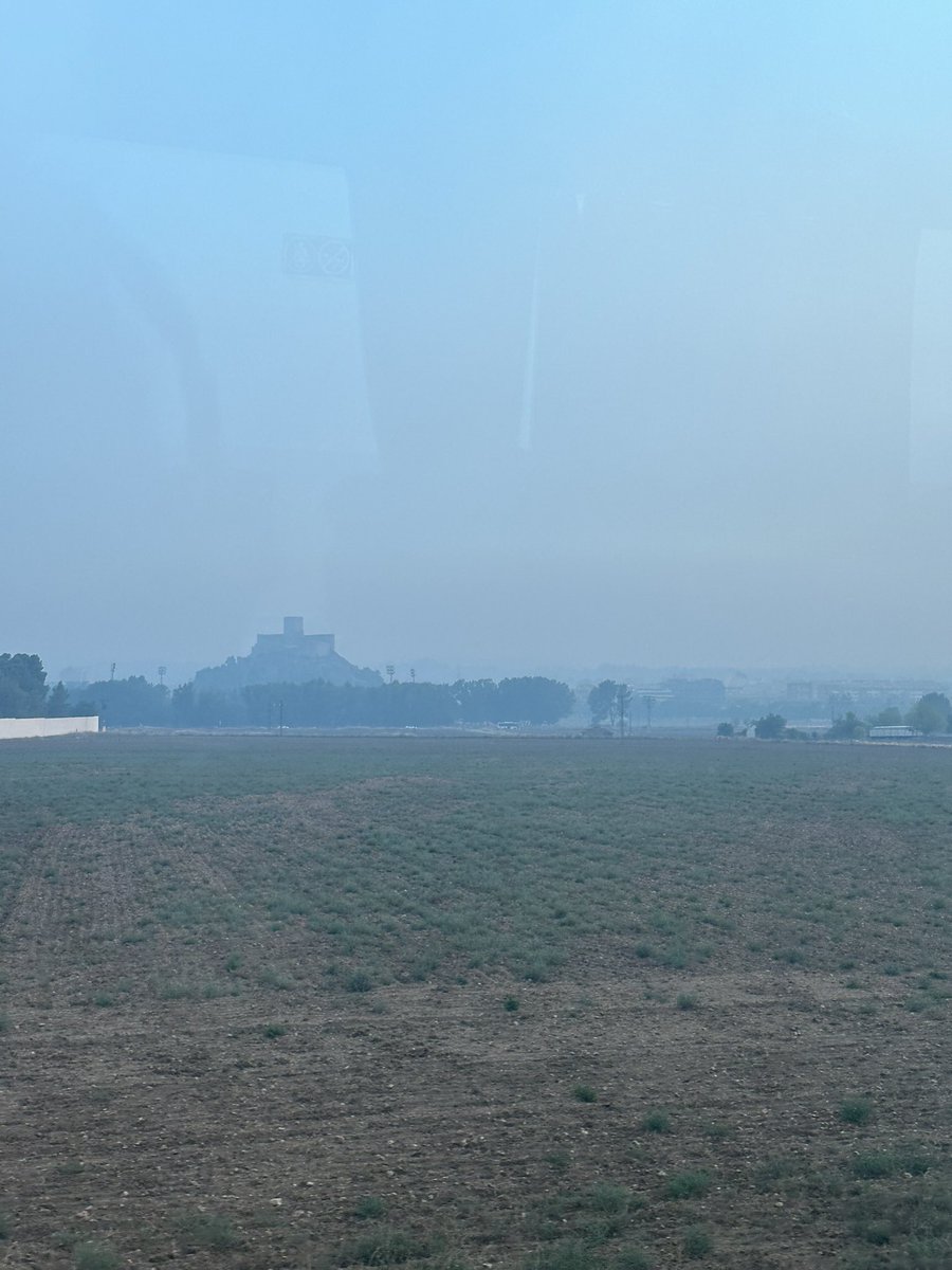 Almansa subís web humo. Esto es terrible.