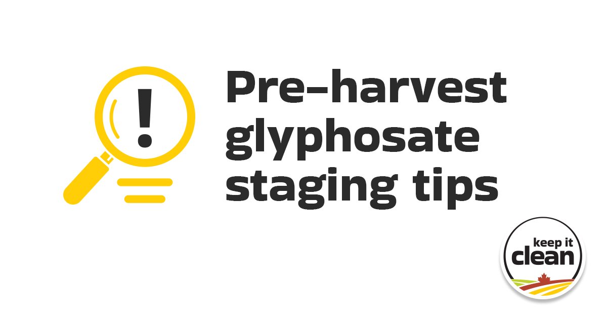 Applying pre-harvest glyphosate for weed control too early can result in unacceptable residues. Use the staging guide to help assess when your crops are ready for spraying. Learn more #CdnAg #SustainableCdnAg 👉 bit.ly/42zLMv8