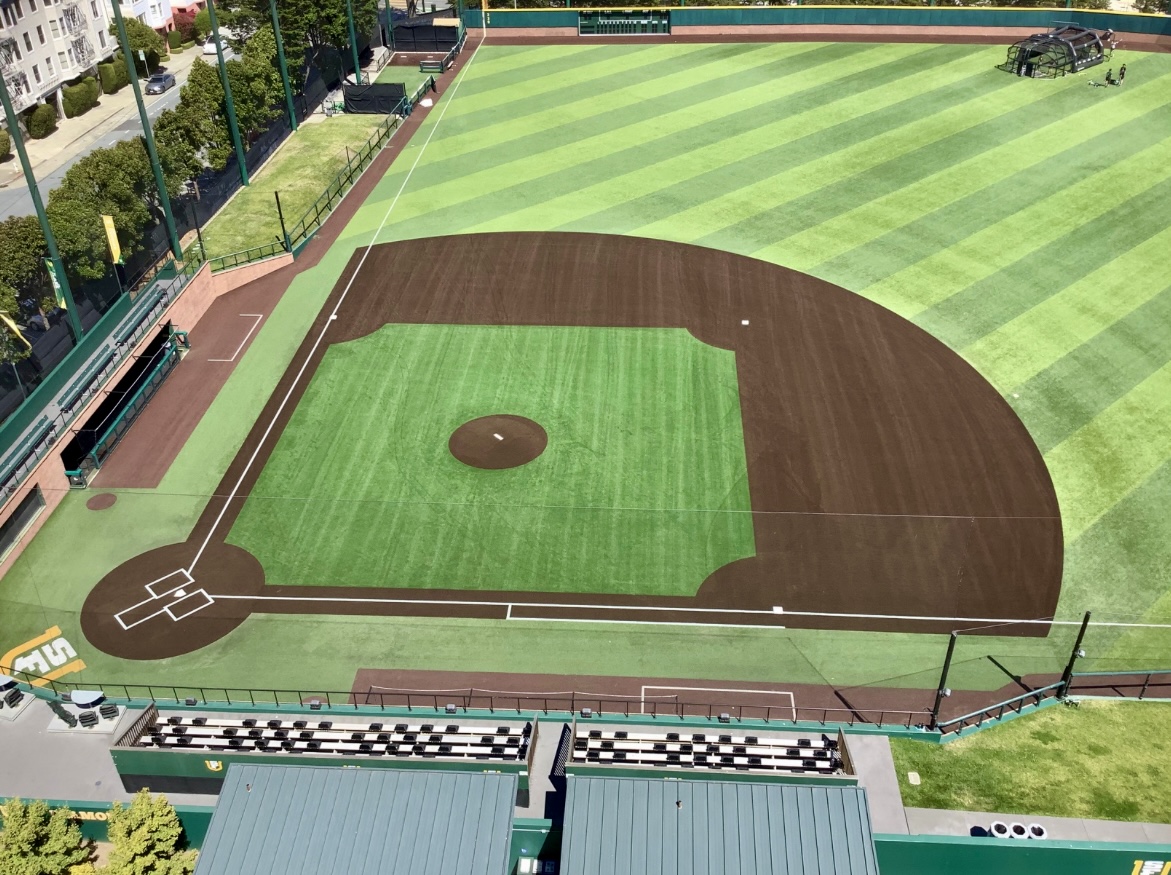 vpgrading's tweet photo. Pair the left-hand advantage with our high-performance artificial turf, and it's game over for your opponents! Happy #NationalLeftHandersDay to the 25% who play left with pride ⚾ #CaliSports https://t.co/3N1xxd7oi7