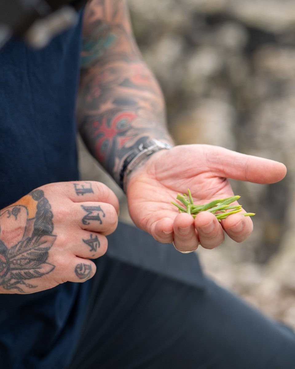 Blas_Restaurant's tweet photo. Summer in Pembrokeshire means foraging for the freshest local flavours!

From wild herbs to seasonal berries, we love bringing the best of the land straight to your plate.

#blasrestaurant #celticcollection #finedining #pembrokeshire #pembrokeshirefood #foraged #rocksamphire https://t.co/jjrGR18Pz3