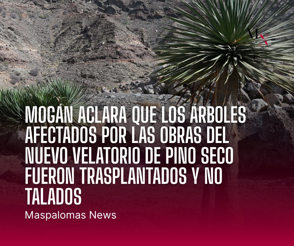🌳 Mogán desmiente la tala de árboles en Pino Seco

👀 Lee toda la información aquí: maspalomasnews.com/mogan-aclara-q…

#Mogán #PinoSeco #Velatorio #GranCanaria #MaspalomasNews
