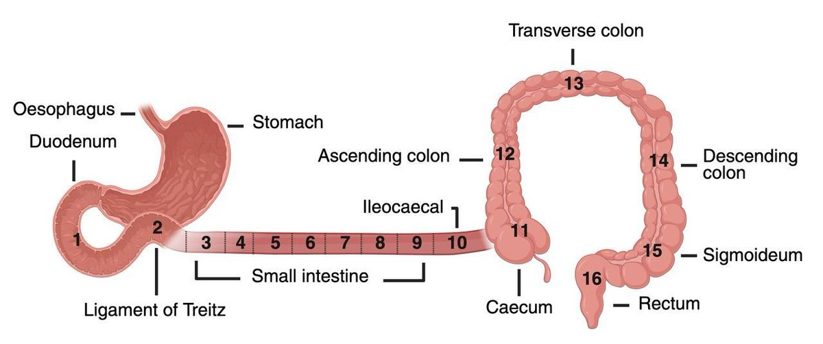 Filip K. Knop tweet media