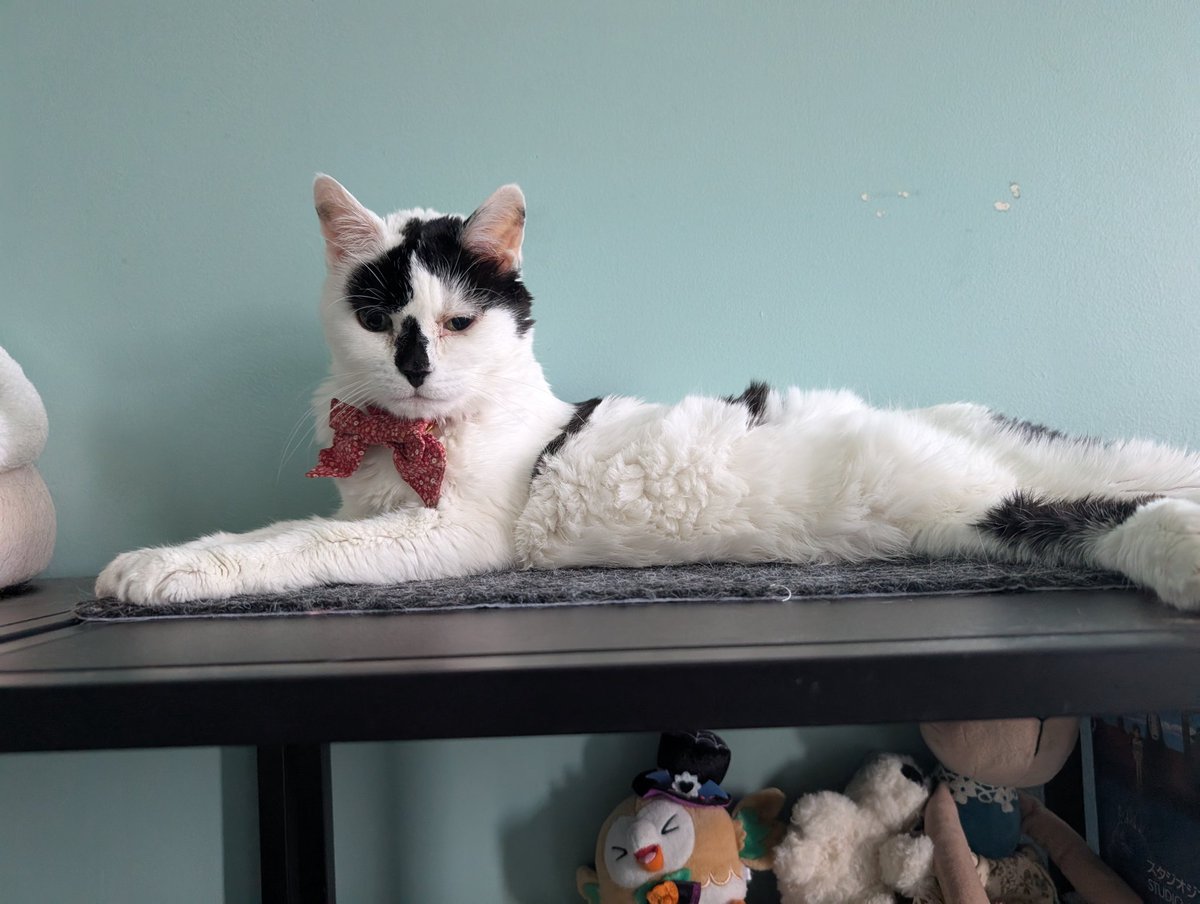 Kyuu ➡️ 🩵☁️ tweet media