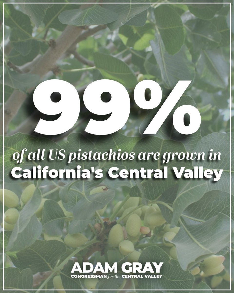 It's Pistachio Week! We're celebrating the hardworking farmers who make the Central Valley one of the largest pistachio-producing regions in the world!