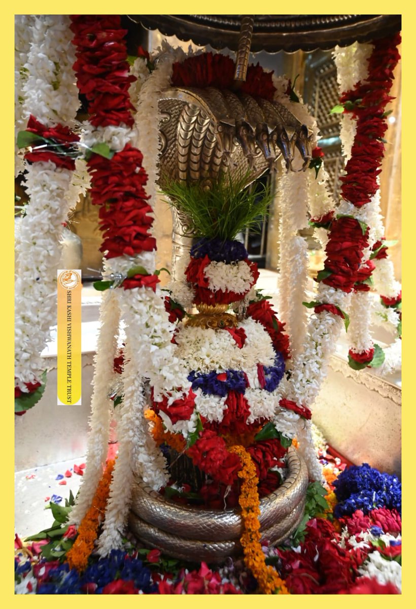 ShriVishwanath's tweet photo. आज श्री काशी विश्वनाथ जी की श्रृंगार आरती I
#kashivishwanath #kashi #sanatandharma #banaras https://t.co/YCnFXGJwMy