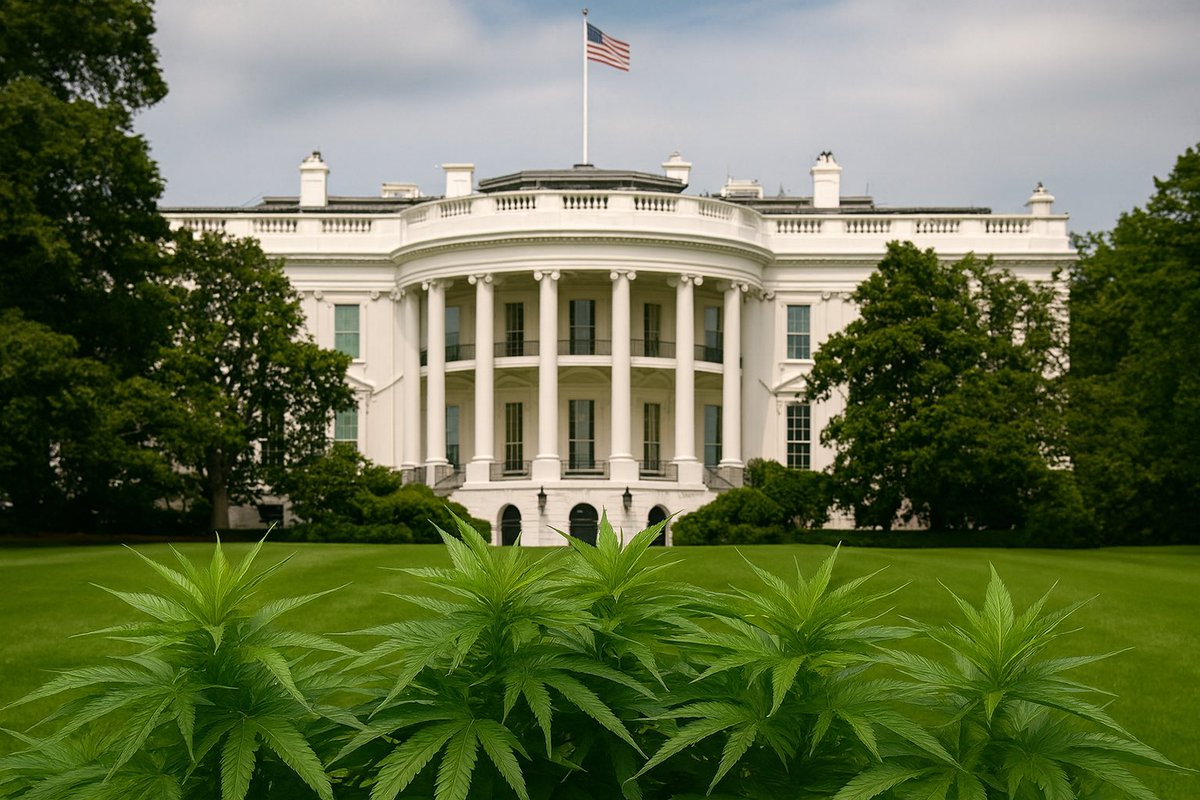 Breaking cannabis news 🚨

A GOP bill was just filed to move cannabis from Schedule I to Schedule III.

If this happens... 280E no longer applies.

That means cannabis businesses could finally deduct things like rent, payroll, and marketing keeping more of their hard earned