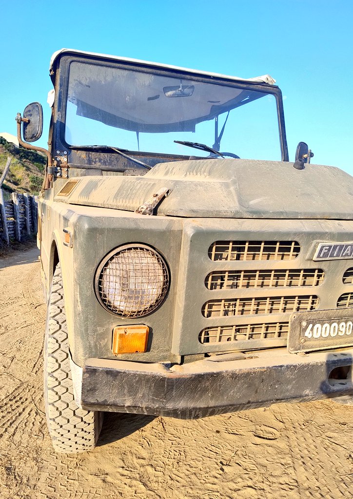 Boris Latakian, PhD 🐀 🧱 ⛽🥩☮ tweet media