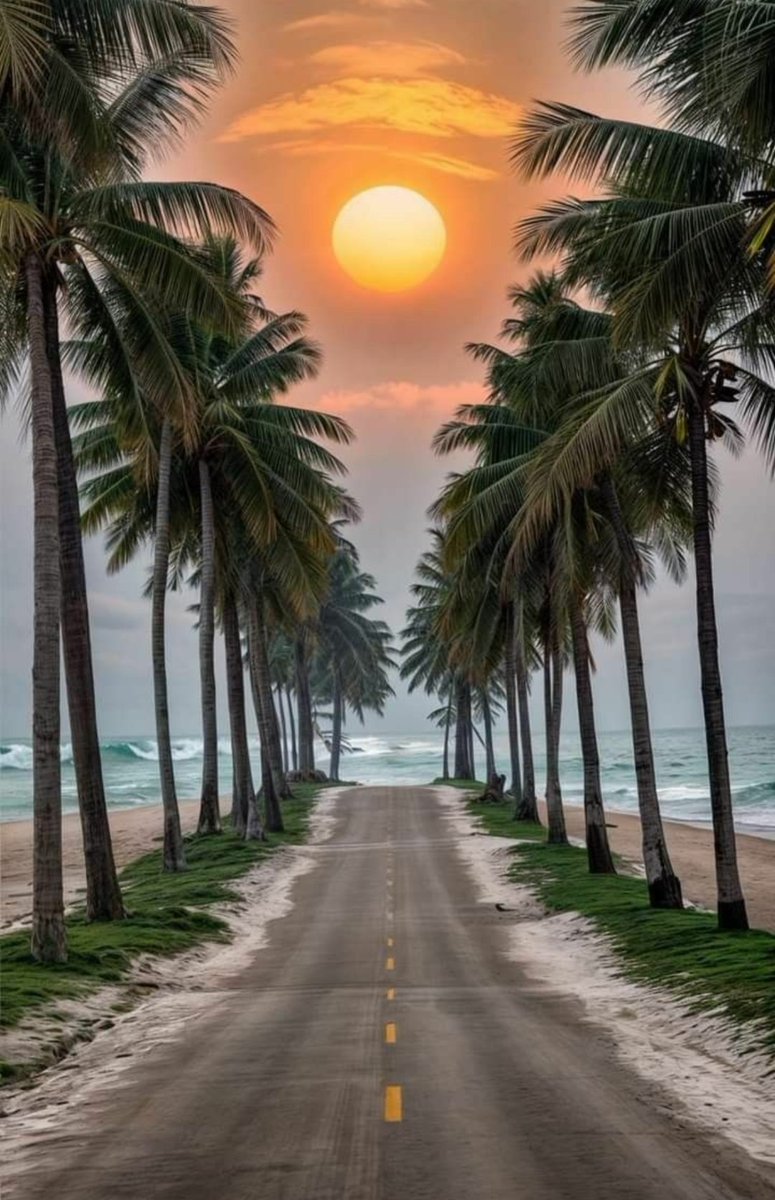 ejnyamogo's tweet image. Oh Country Roads, hear me #NatureGuide #NatureLovers 
To my Precious 💞 X family 💞, happy lovely Wednesday 🌞🌄