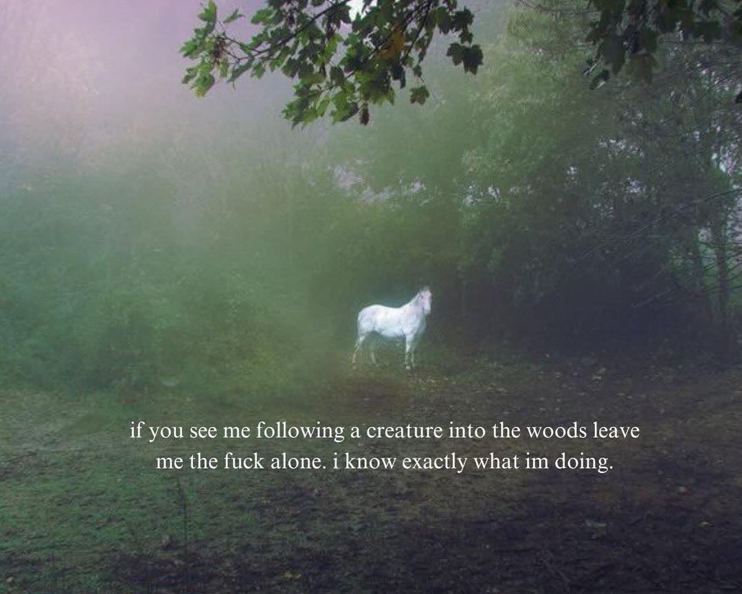 The Fourth Way (@the4thwayyt) on Twitter photo 