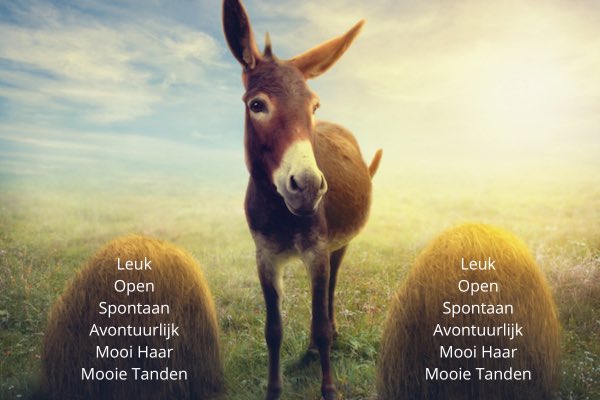 De ezel van Buridan beschrijft een hongerige ezel die zich op gelijke afstand bevindt van 2 identieke stapels hooi. Omdat de ezel geen reden kan vinden om de ene stapel boven de andere te verkiezen, is hij niet in staat een beslissing te nemen en verhongert hij. #benbvolliefde