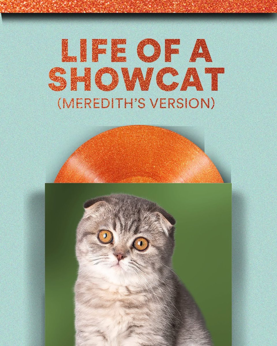 I really hope <a href="/taylorswift13/">Taylor Swift</a> announces this at midnight 
This would make the best documentary title ❤️