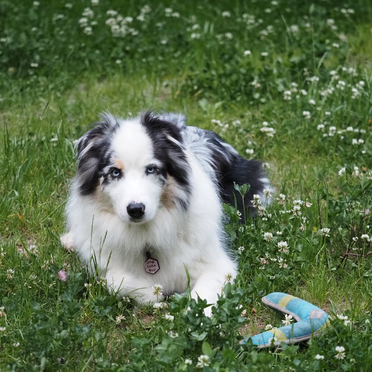 Laskomina Maryna tweet media