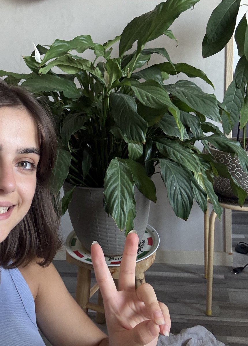 Quand j’ai tjrs pas tué les plantes du D 🙌🏻🪴