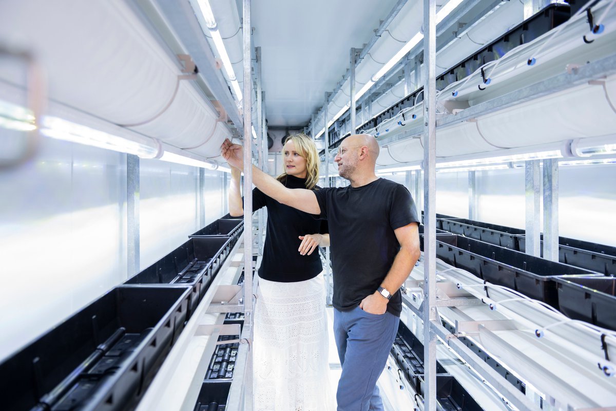 Winter strawberries? 🍓❄️ Yes, in Canada!

Prof. Allyson MacLean is leading True North Berries—a project using microbes, light optimization &amp; CO₂ recycling to grow red &amp; white berries year-round. 

➡️uottawa.ca/faculty-scienc…