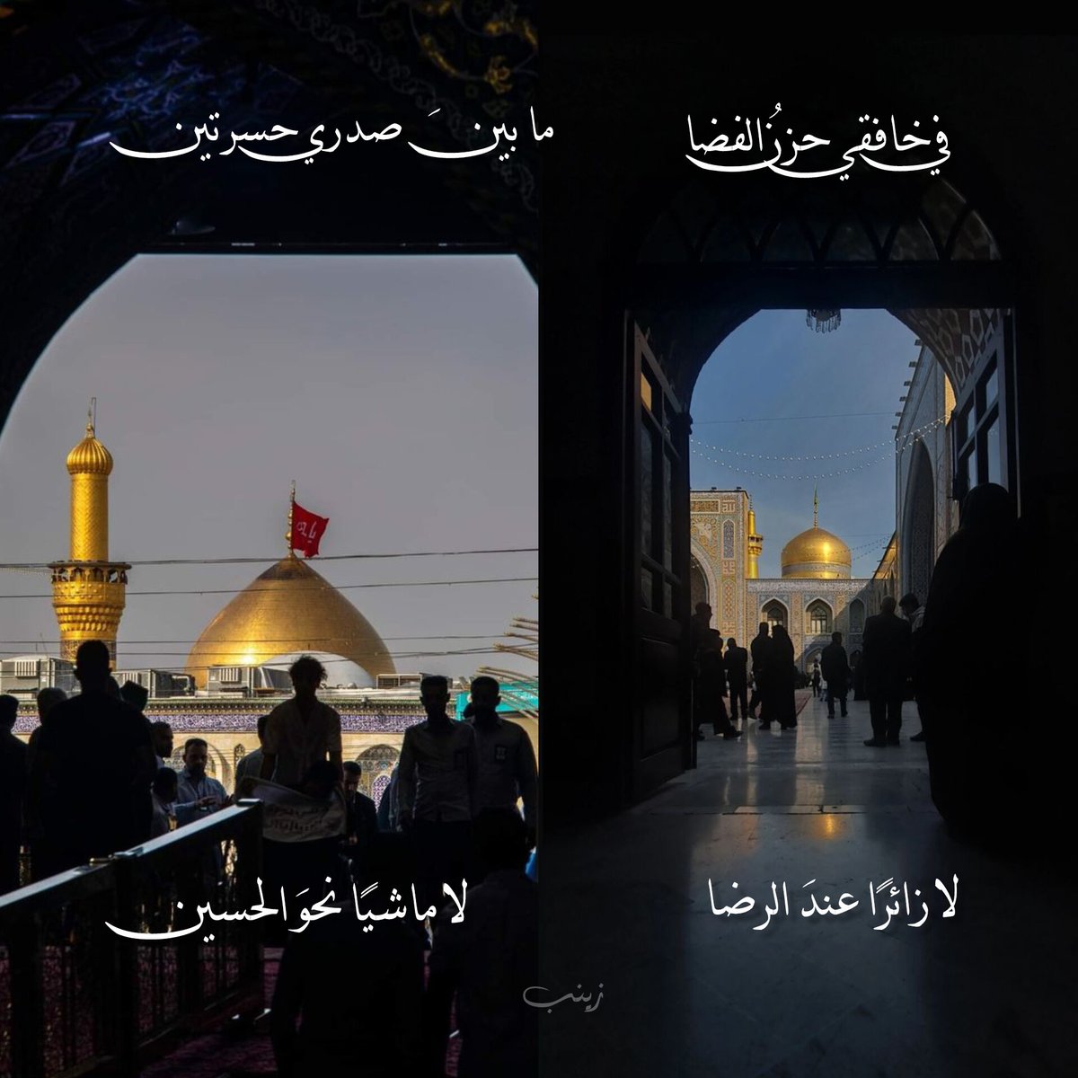 في خافقي حزنُ الفضا
ما بينَ صدري حسرتين
لا زائرًا عند الرضا
لا ماشيًا نحو الحسين

زينب 🥀