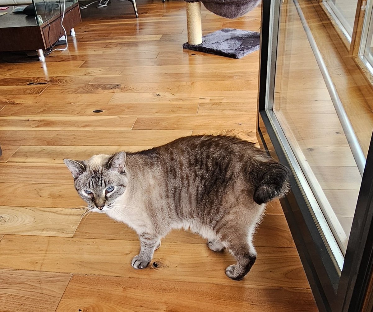 EvelDick tweet media