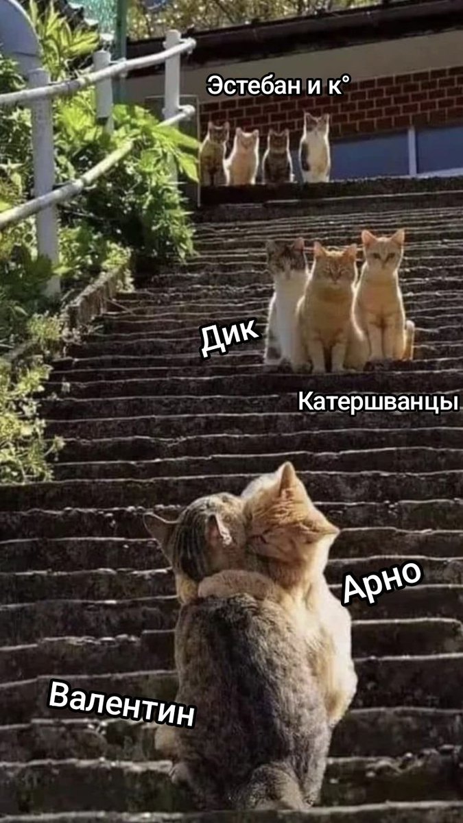 #этерна #оэ #приддоньяк
Когда в Лаик заняться нечем