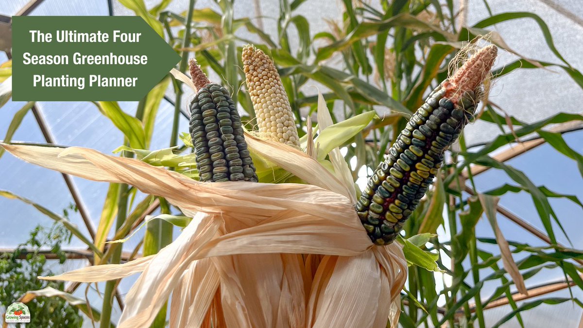 In the world of gardening, why reinvent the wheel? You just want to know what works. Our planting planner will tell you when to plant some of our most tried &amp; true greenhouse plants. Download our free guide!

#fallgardening #GrowingSpaces #gardeninspiration