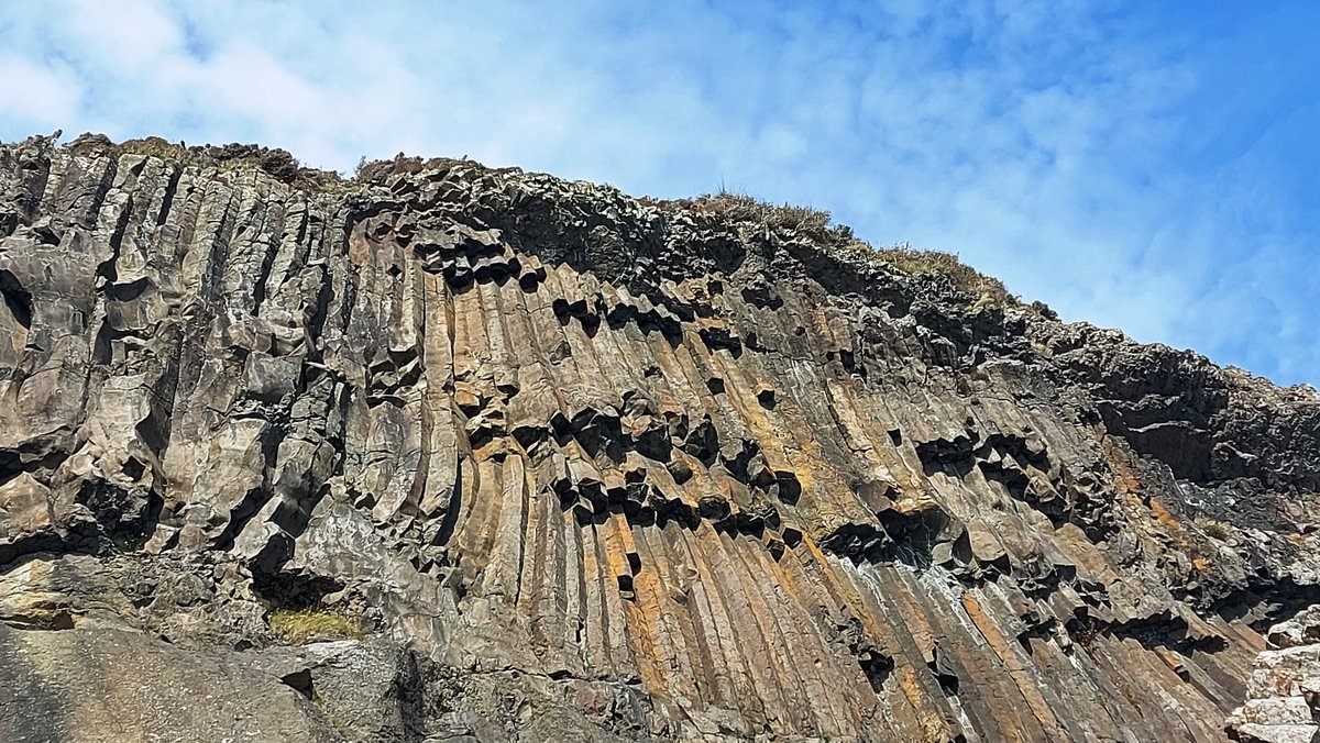 Carsaig geology walk yesterday. Glorious!