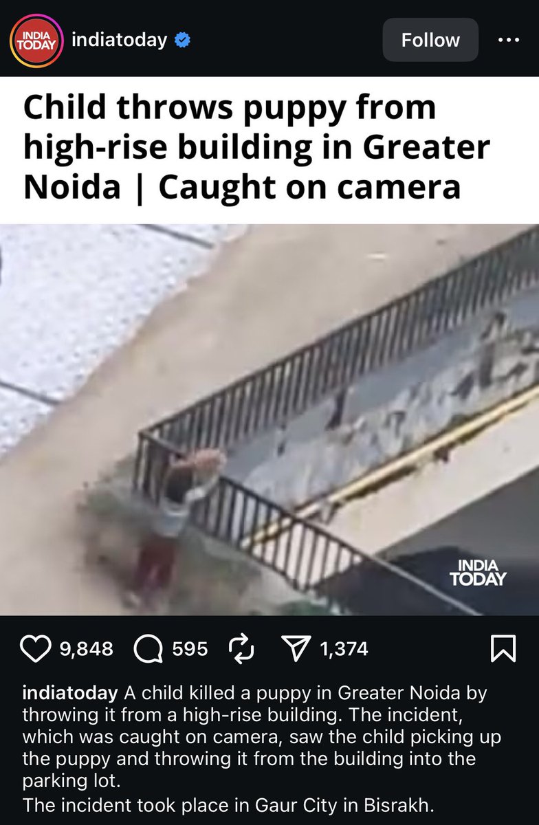 anusiddaraju's tweet photo. @DarPallavi @indSupremeCourt @gupta_rekha @BJP4India @BJP4Delhi What about this you selfish people.. hundred of dogs die everyday because of humans.. humans abuse dogs and run their vehicle over them and kids throw stone at them and what not? How many dogs have died in a year?? How many rabies case?? Most of the rabies are fake.. https://t.co/XrNrrjxTyZ