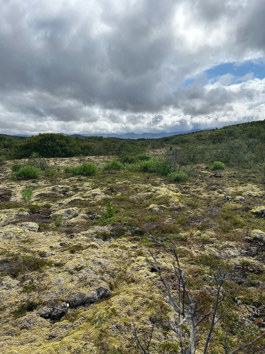 Staking walk in Iceland on a spectacular site for a golf course which will take players on an adventure through ancient lava fields highlighted by hollows, bowls, and ravines.