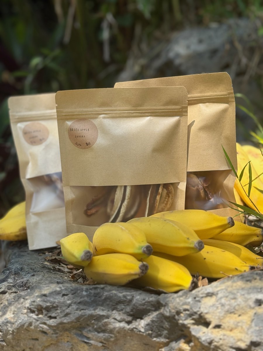 GingerhillFarm's tweet image. Enjoy an organic taste of the Big Island with our farm-grown produce here at Gingerhill Farm Retreat on the lush slopes of Kealakekua. 🌴

Want a taste of Hawaii?
Take a peek at our shop and see what calls to you! ✨

#FarmLife #FromTheEarth #GrownWithLove