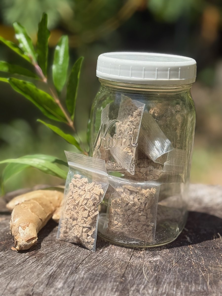 GingerhillFarm's tweet image. Enjoy an organic taste of the Big Island with our farm-grown produce here at Gingerhill Farm Retreat on the lush slopes of Kealakekua. 🌴

Want a taste of Hawaii?
Take a peek at our shop and see what calls to you! ✨

#FarmLife #FromTheEarth #GrownWithLove