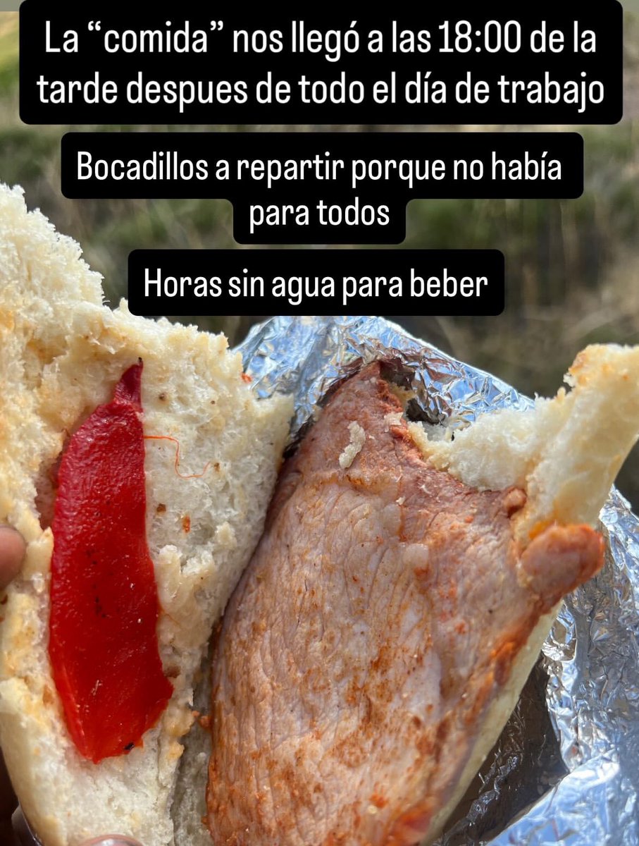 PCE El Bierzo tweet media