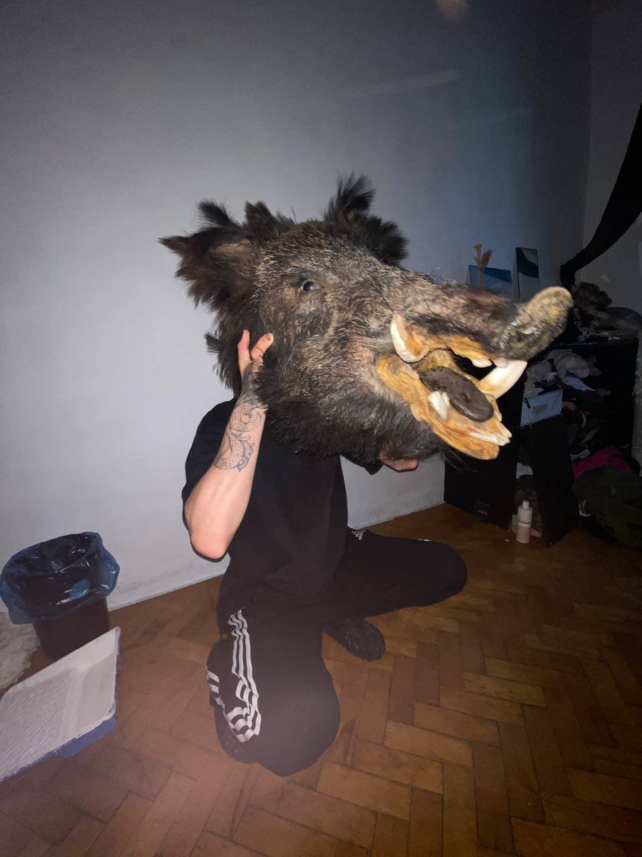 Russian_Gothic's tweet photo. How can I fix it, Mr. Wild boar?

No way, be who you are https://t.co/Ue5YlBPW17
