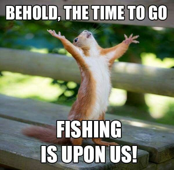 R3alitySh1ft's tweet photo. -🔴LIVE!

Lazy Fishing day 

https://t.co/WUXYGsFGKT 
#Vtuber #ENVtuber #smallstreamers #VRC #VRChat https://t.co/DmuvW9vurr