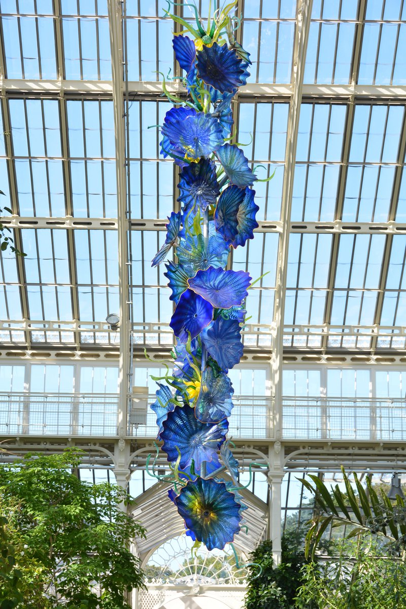 #AlphabetChallenge #WeekGforGlass 
High up in the Palm house at Kew Gardens with a bonus Dale Chihuly installation