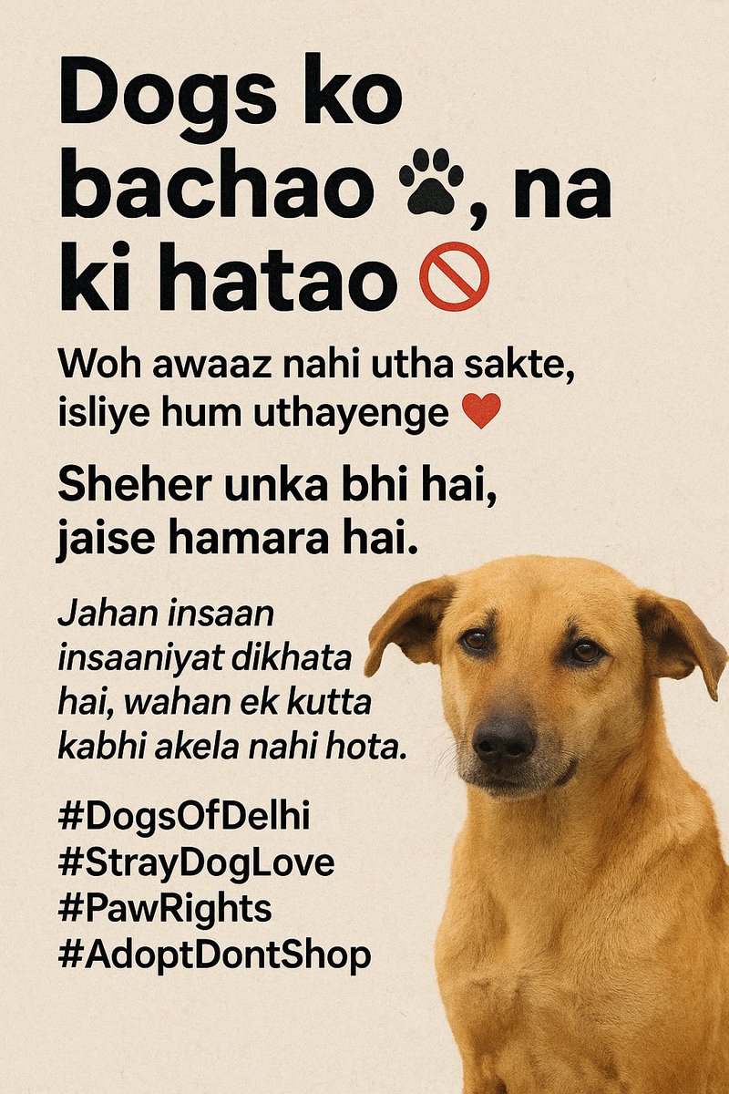 GauravDeep57534's tweet image. Hamari inse sirf zimmedari nahi, feelings bhi judi hai ❤️
Street dogs ko hataana nahi, bachana seekho 🐾
Law bhi yahi kehta hai — kill/relocate is illegal.
#StopDogRemoval #DogsOfDelhi #StrayDogLove