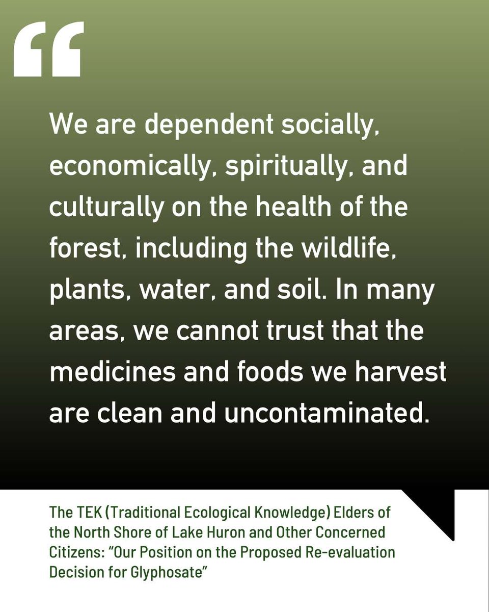 Into the Weeds Doc tweet media