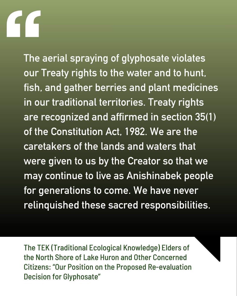 Into the Weeds Doc tweet media