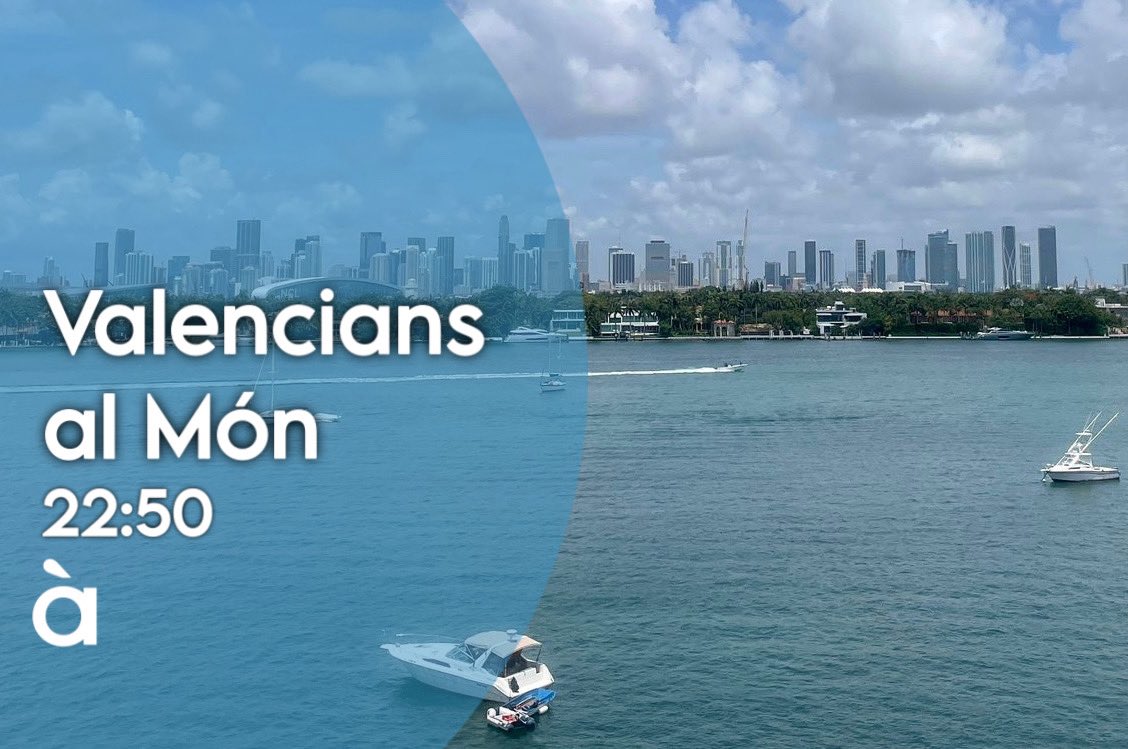 +QTele 📺 tweet media