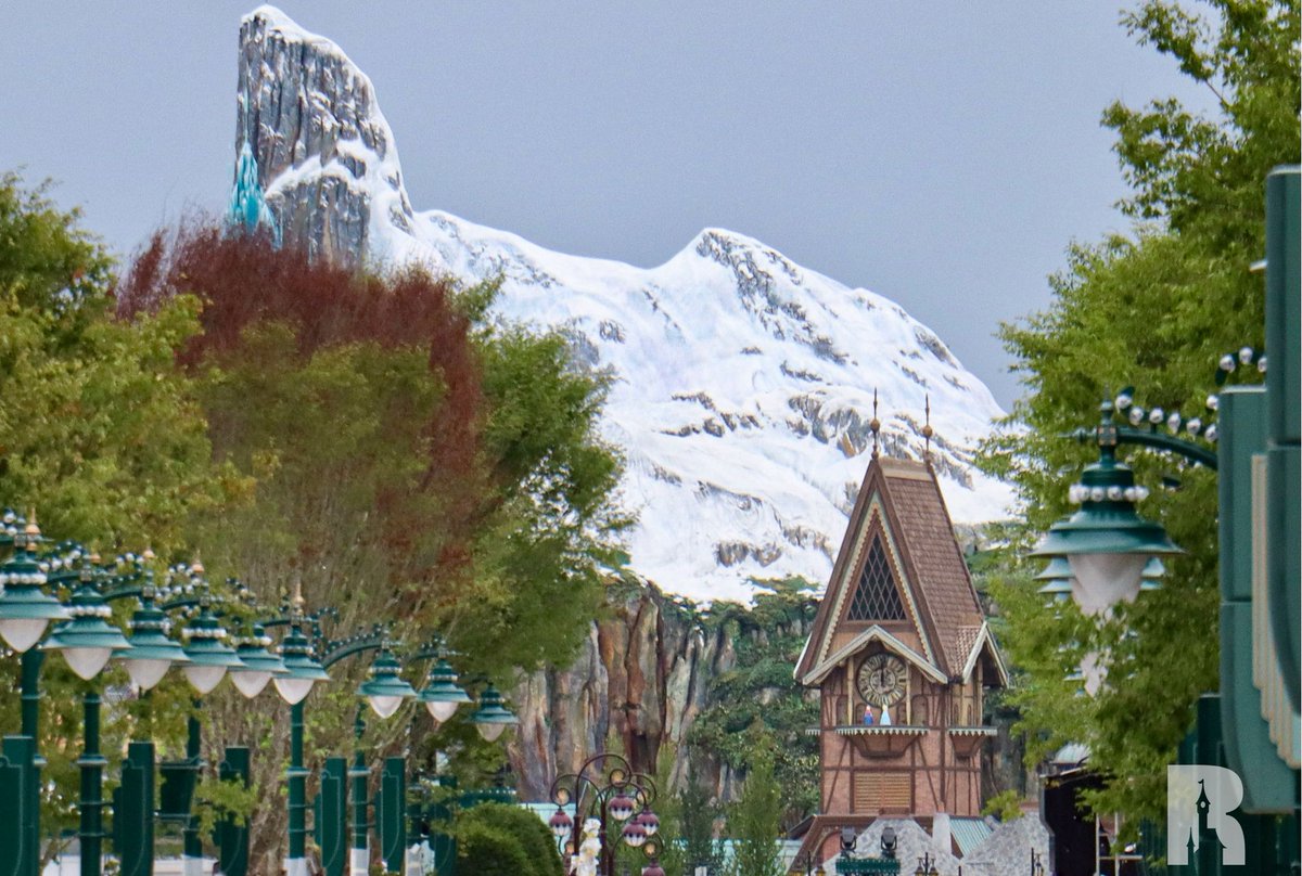 DLP Report tweet media