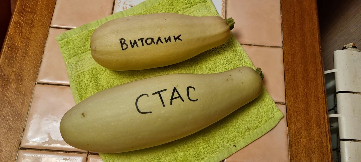 Взял из приюта