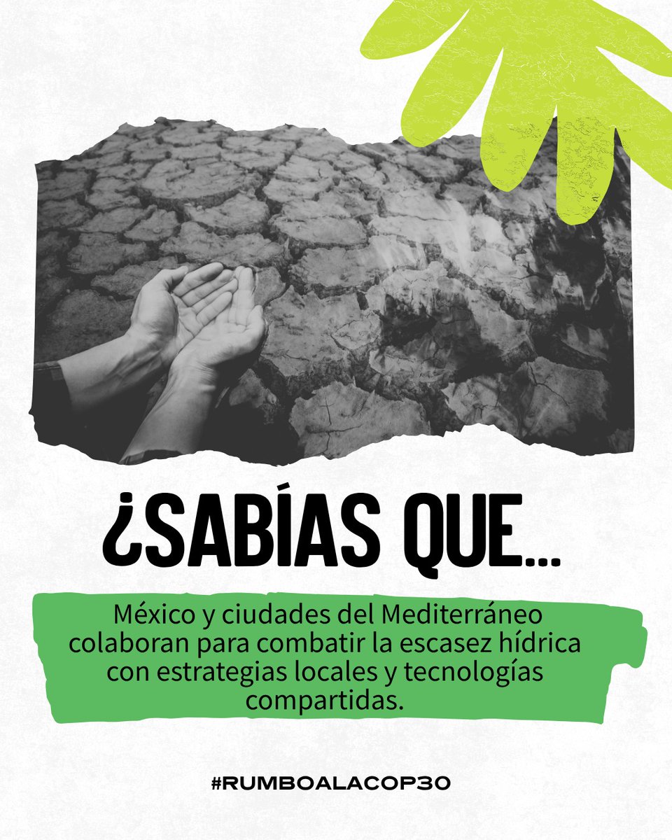 rumboalacop (@rumboalacop) on Twitter photo Del Mediterráneo al centro de México, enfrentamos desafíos comunes: sequía, infraestructura envejecida y presión sobre los recursos hídricos.
💧 La cooperación internacional es clave para soluciones sostenibles.
#RumboALaCOP30 #EconomíaVerde <a href="/el_BID/">Banco Interamericano de Desarrollo</a> <a href="/EmbaMexSui/">Embajada de México en Suiza</a> Del Mediterráneo al centro de México, enfrentamos desafíos comunes: sequía, infraestructura envejecida y presión sobre los recursos hídricos.
💧 La cooperación internacional es clave para soluciones sostenibles.
#RumboALaCOP30 #EconomíaVerde <a href="/el_BID/">Banco Interamericano de Desarrollo</a> <a href="/EmbaMexSui/">Embajada de México en Suiza</a>