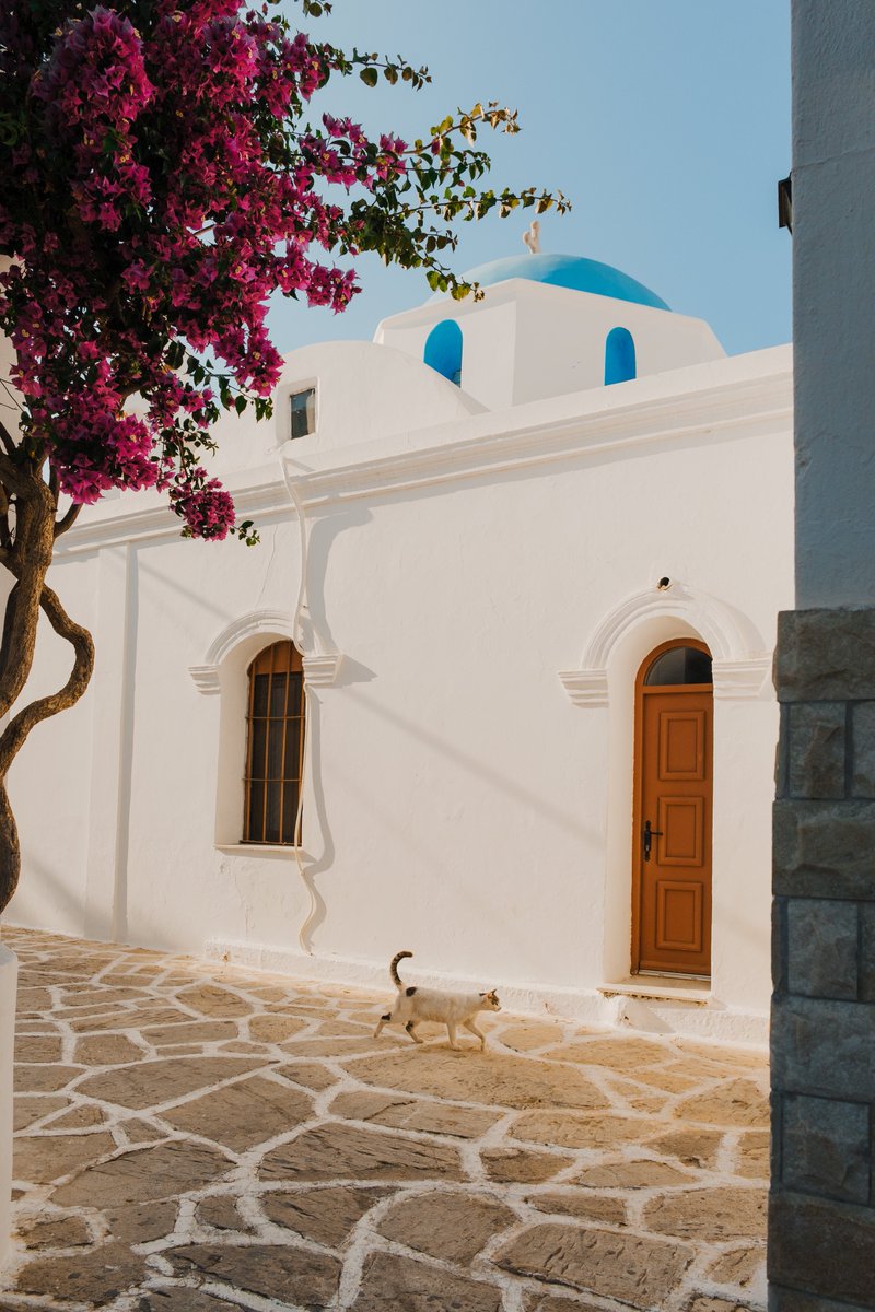 simonribc's tweet image. Afternoon in Antiparos