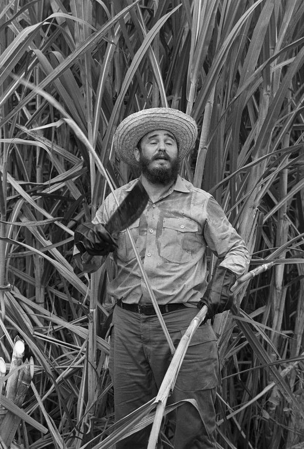 #Fidel: "Aquí soy de los que quieren construir; soy de los que quieren crear; soy de los que no irán a buscar pretextos en las ambiciones de los demás" 
#NuestroFidel #99Aniversario