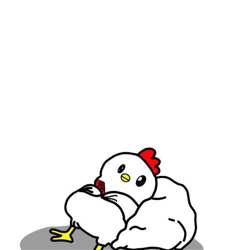 Droppy 🐼 tweet media