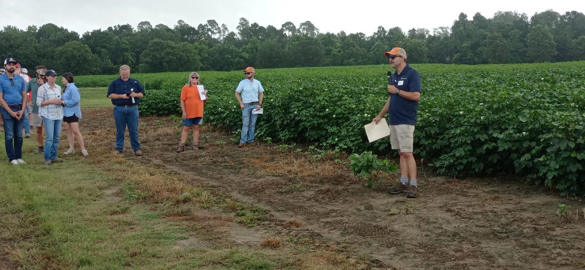 Eros Francisco tweet media